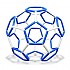 4D프레임 풀러렌구조 축구공