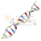 4D프레임 DNA 3