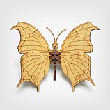 나비-05/곤충
