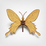 나비-08/곤충