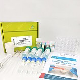 약물을장까지전달하는방법을찾아라/약물전달시스템DDS이해하기/5인용