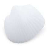 흰색조개모형/10개입