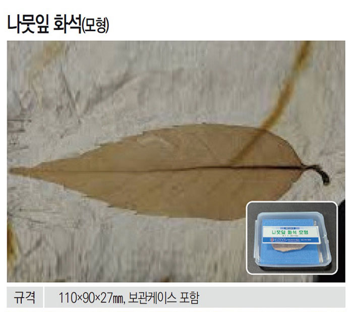 069f3e67fa592954db008a8b0c4b68ed_1771841