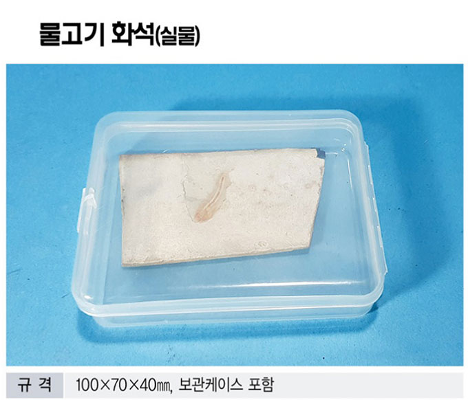 069f3e67fa592954db008a8b0c4b68ed_1771841