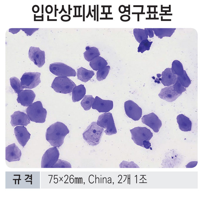 7e2381c0b3189f5bc91f81c8061805a4_1771582