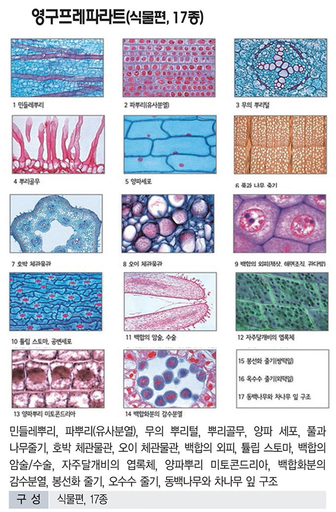 7e2381c0b3189f5bc91f81c8061805a4_1771584