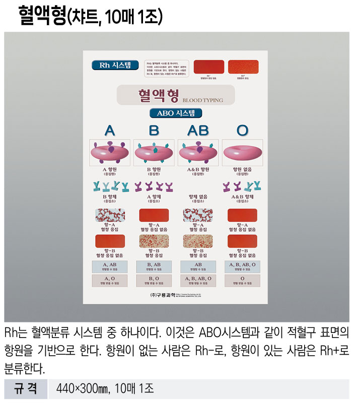 f7c75bd7bc833bfc5c263c5f95697296_1772011