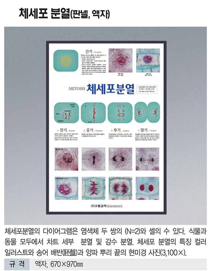 f7c75bd7bc833bfc5c263c5f95697296_1772014