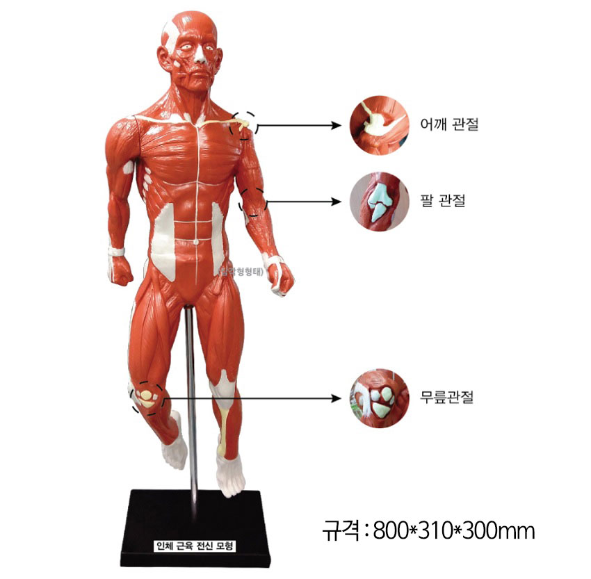 2bd1ef31b4fbda6d8f8043784276c3f3_1772621