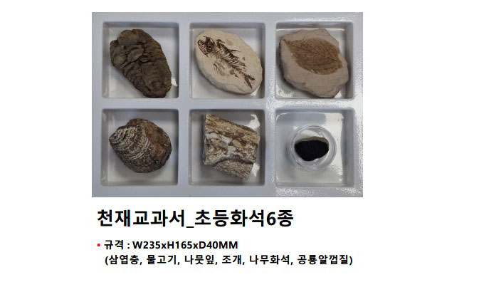 749dc2315ffeceda0c5e87cd4a3abcd1_1772777