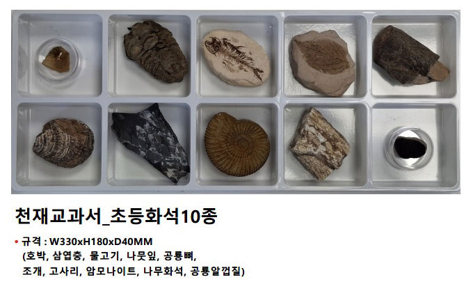 749dc2315ffeceda0c5e87cd4a3abcd1_1772788