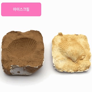 조개화석만들기(2인용)/아이스크림