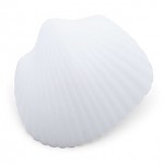 흰색조개모형/10개입