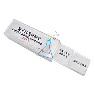 사철나무양파표피프레파라트영구표본/2개1조