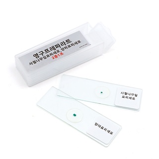 사철나무양파표피프레파라트/2개1조