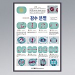 감수분열/판넬,액자