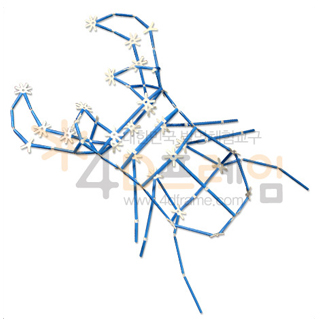 4D프레임 곤충-사슴벌레