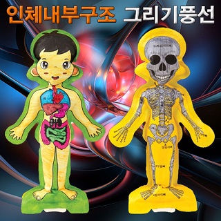 인체내부구조그리기풍선/컬러룬3D인체색칠풍선/1인용