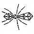 4D프레임 곤충(입체)-개미