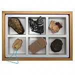 화석6종세트/초등화석6종세트