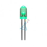 3V 초록색 고휘도LED 발광다이오드/전기를이용한재미있는점토놀이/1개입