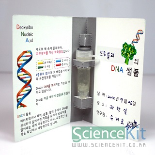 DNA추출 I -식물세포/4인용
