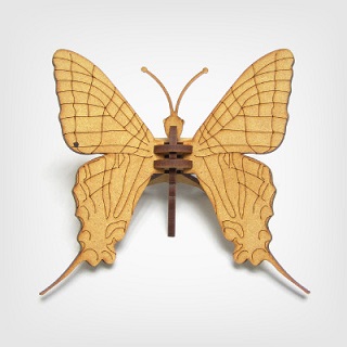 나비-06/곤충