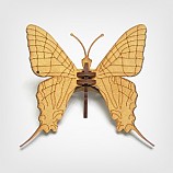 나비-06/곤충